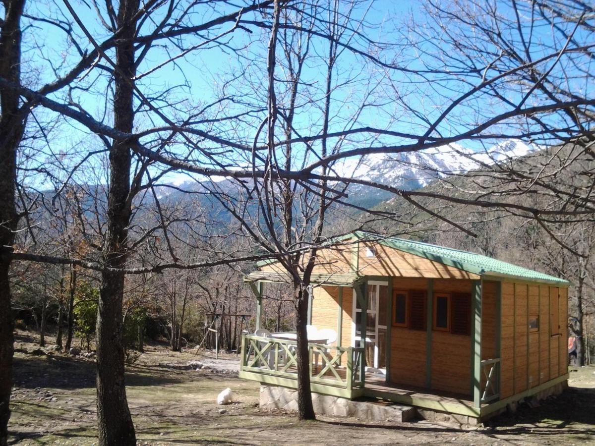 Ghisoni Chalet De Caralba Piscineヴィラ エクステリア 写真