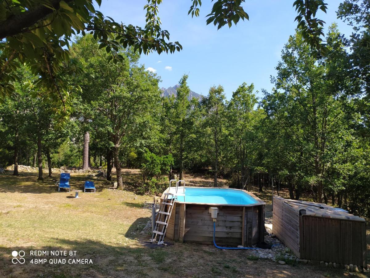 Ghisoni Chalet De Caralba Piscineヴィラ エクステリア 写真